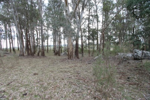 Campo en venta en Maldonado